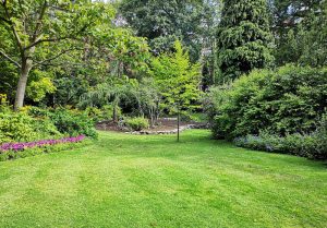 Optimiser l'expérience du jardin à Neuilly-le-Real